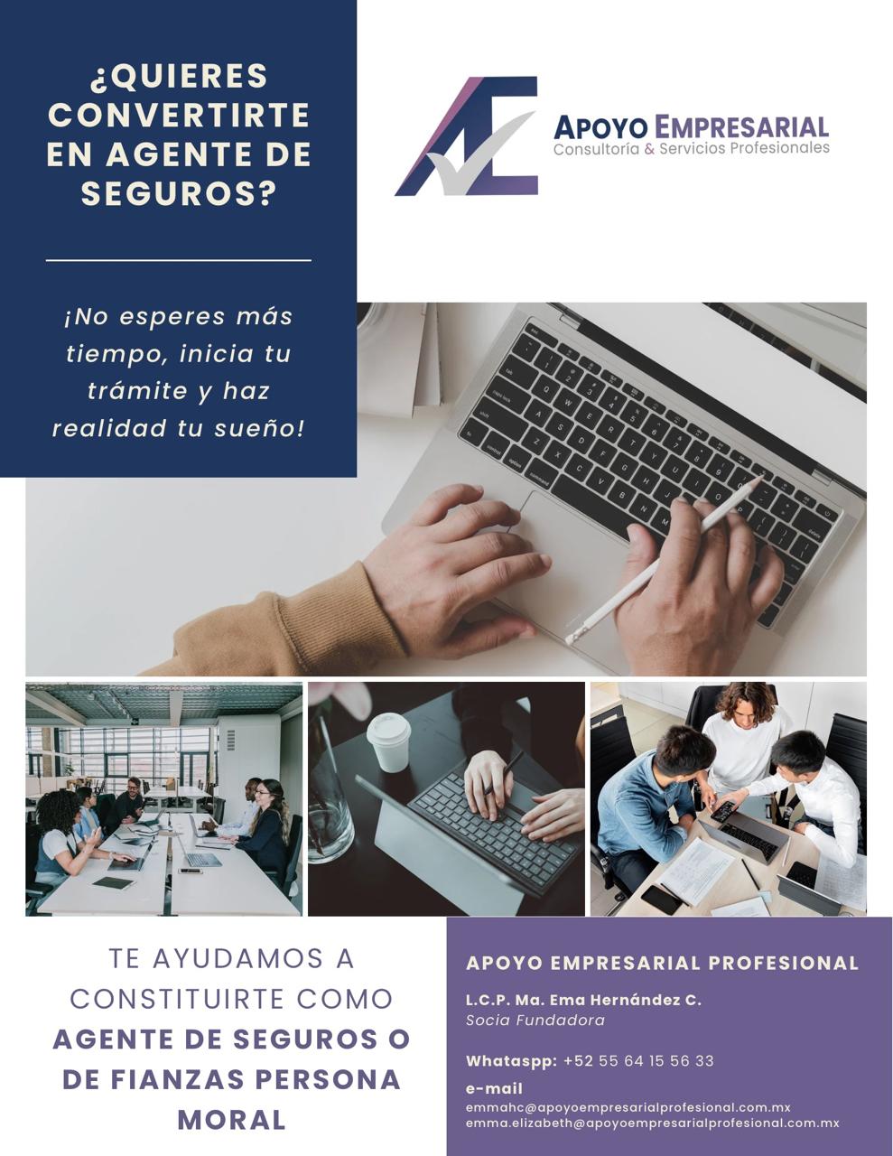 Constitucion como agente de seguros o fianzas persona moral